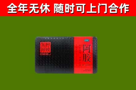 尖草坪回收阿胶